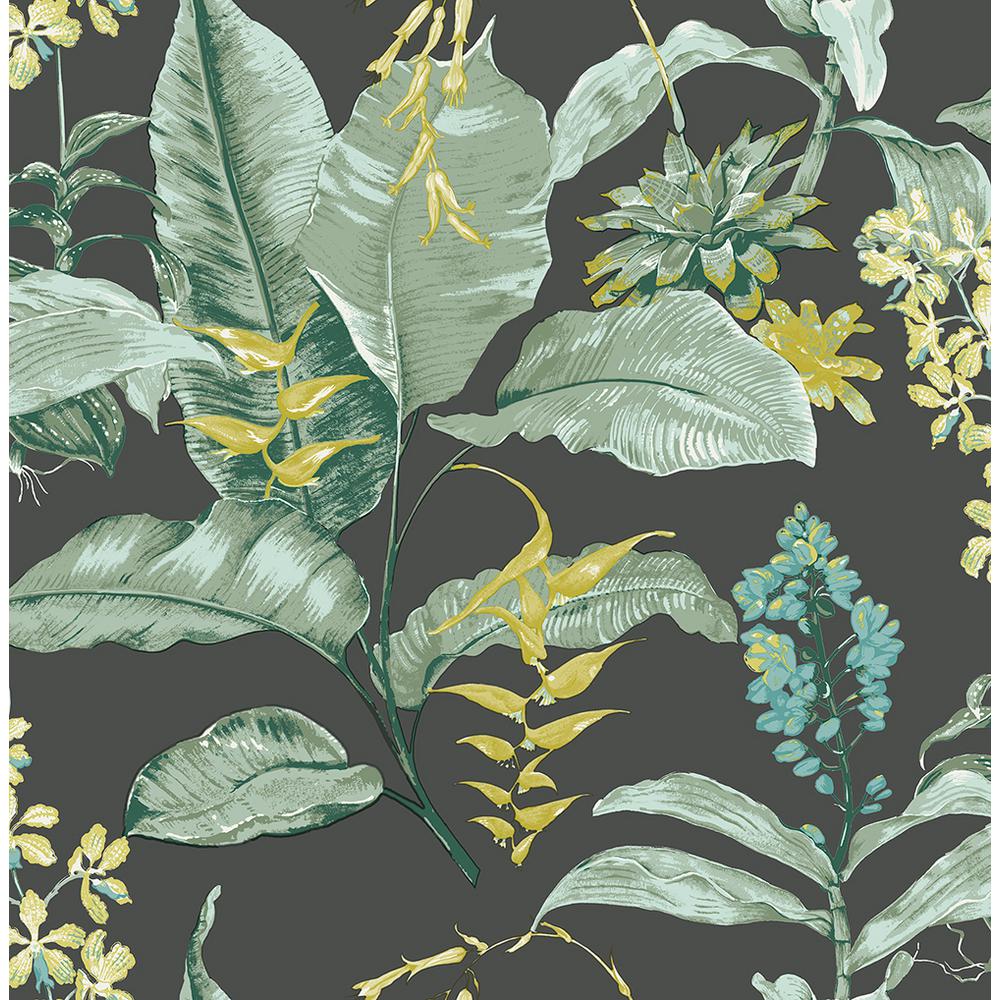 Maui Black Botanical , HD Wallpaper & Backgrounds