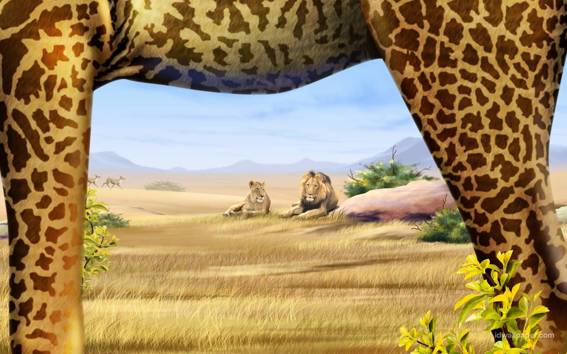 Safari Wallpaper Hd , HD Wallpaper & Backgrounds