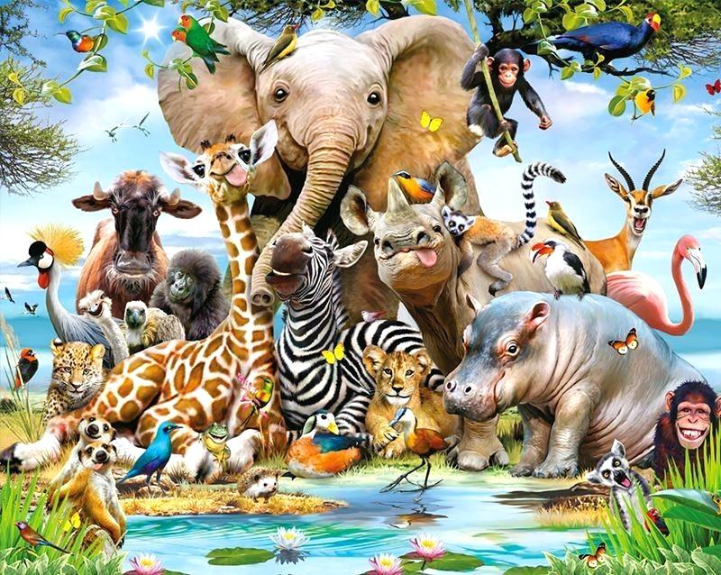 Animals Jungle , HD Wallpaper & Backgrounds