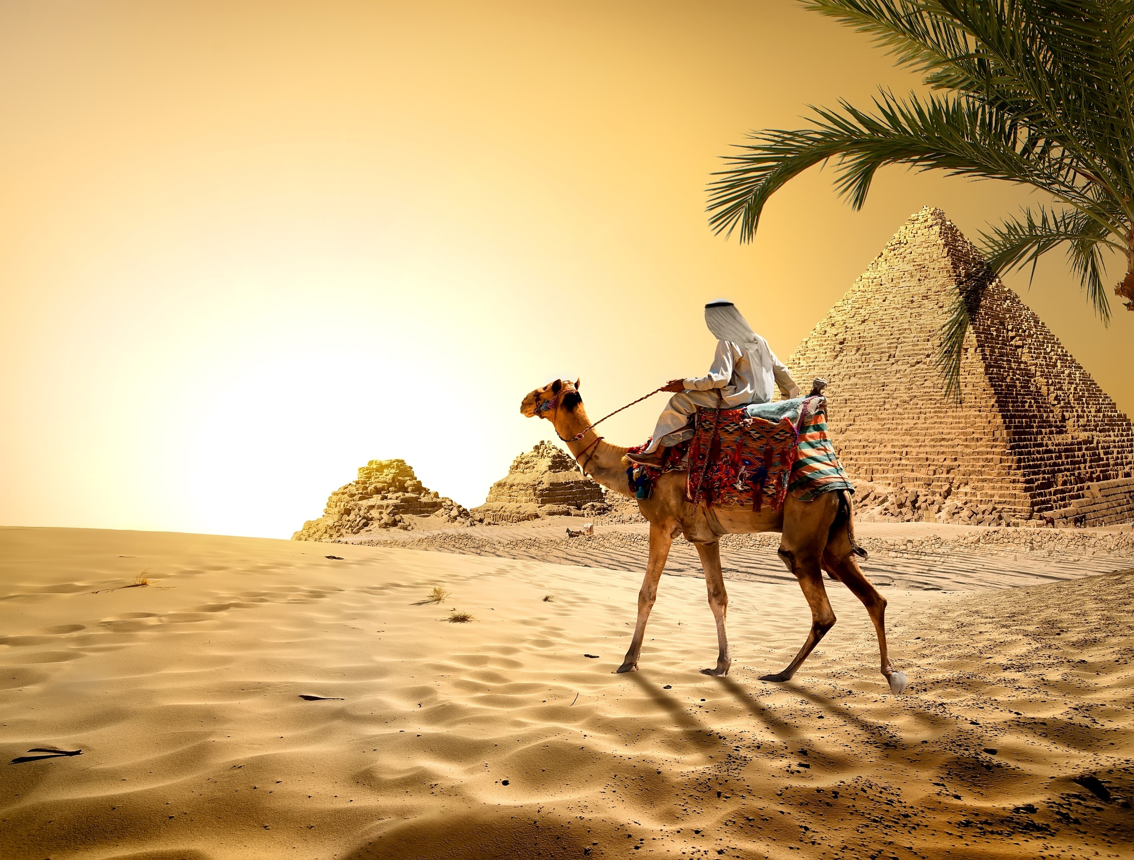 Orange Sky, Cairo, Palm Tree, Sand, Heat, Desert, Egypt, - Camel In Desert , HD Wallpaper & Backgrounds