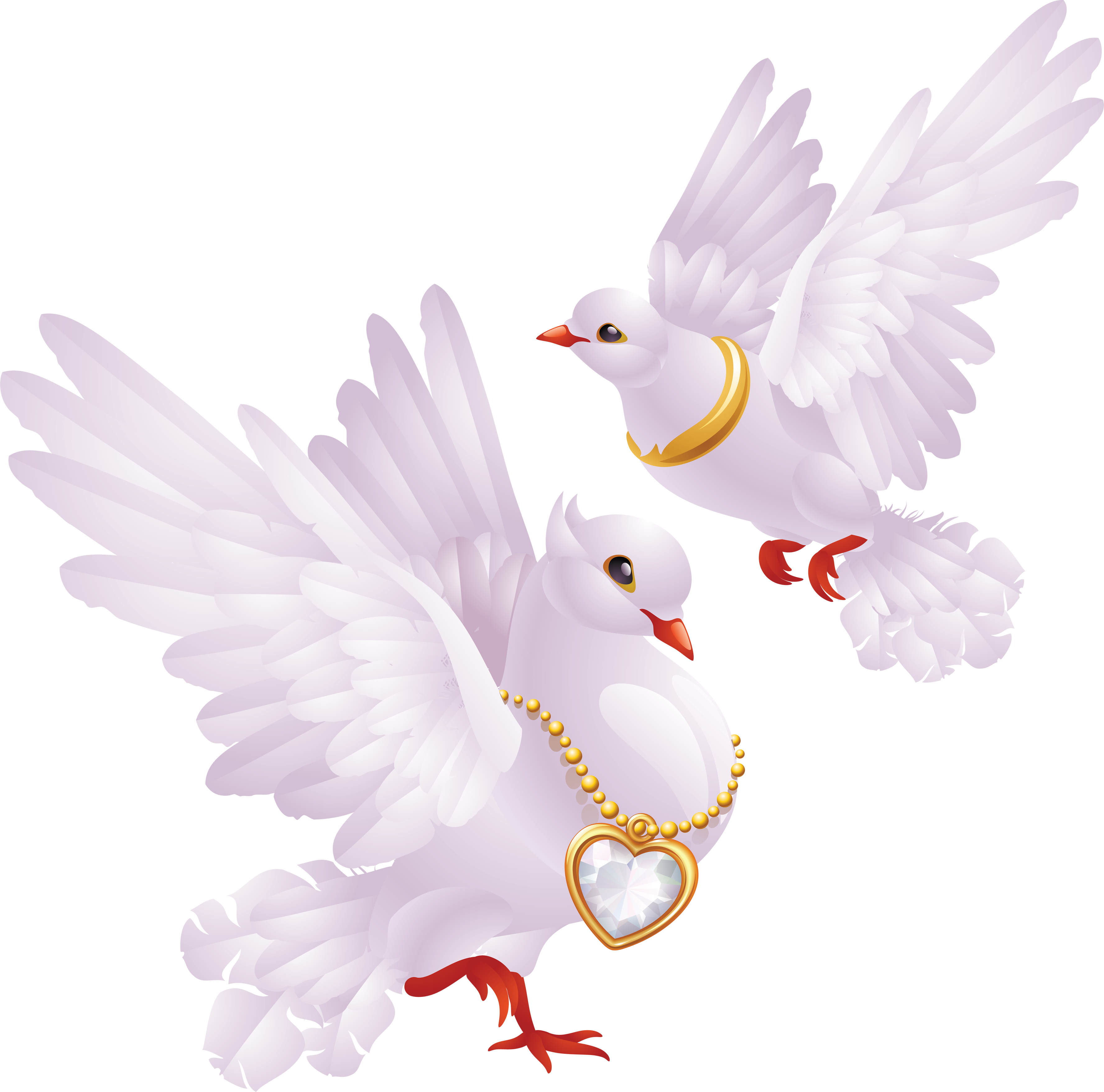 White Pigeons Png Image - Good Morning Wednesday Heart , HD Wallpaper & Backgrounds