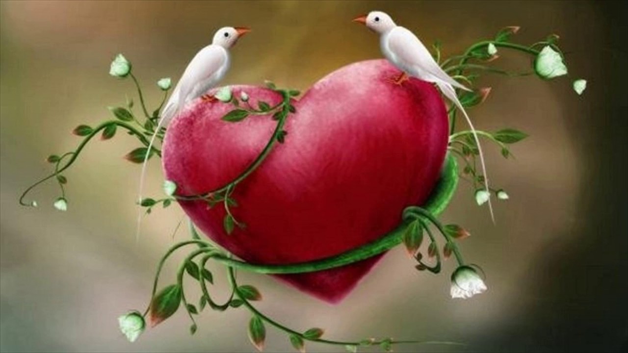 Love Birds Wallpaper For Mobile - Love Birds , HD Wallpaper & Backgrounds