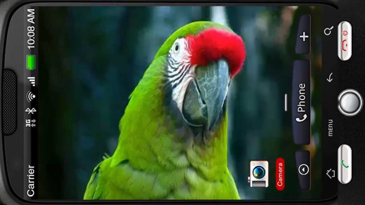 Amazing Bright Macaw Parrot Screensaver & Animated - Happy New Year 3d Live , HD Wallpaper & Backgrounds