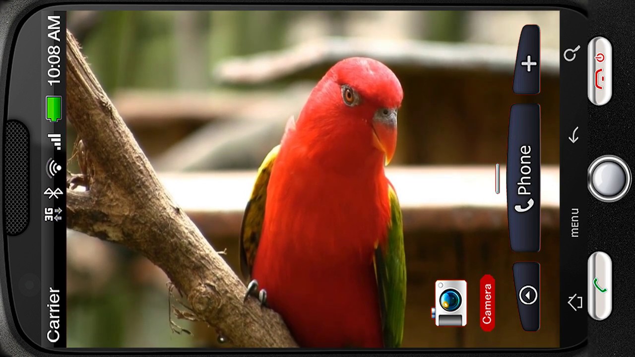 Cute Red Parrot On Branch Deluxe Hd Edition 3d Live - Android , HD Wallpaper & Backgrounds
