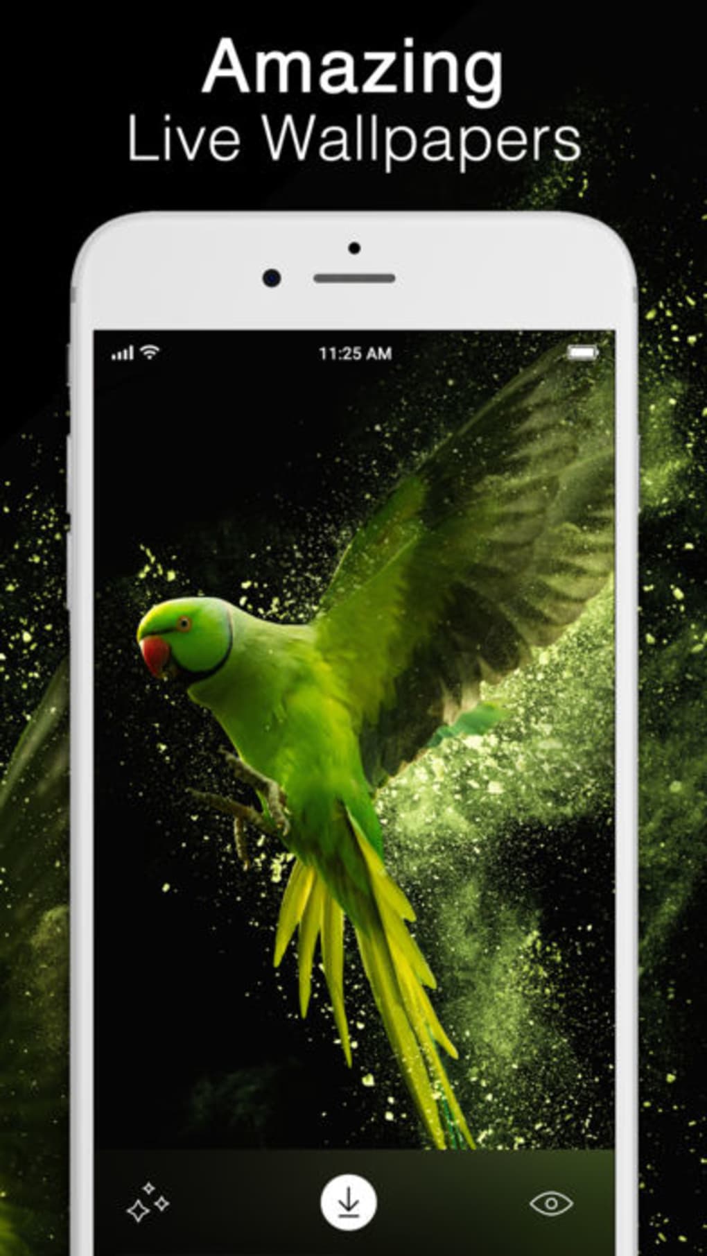 Live Wallpaper To Get - Bird With Black Background , HD Wallpaper & Backgrounds