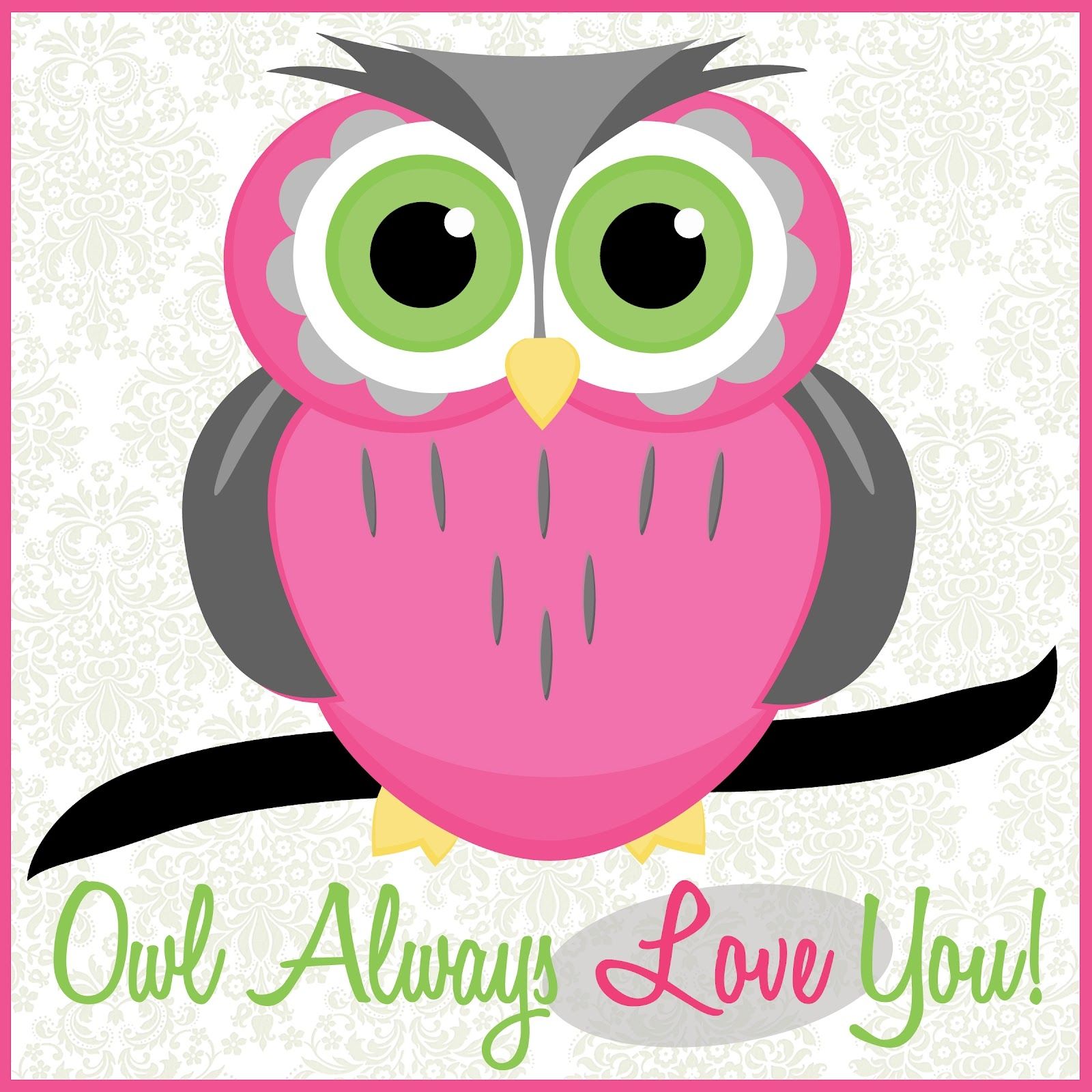 Cute Cartoon Owl Wallpaper - Free Cartoon Pictures Of Owls , HD Wallpaper & Backgrounds