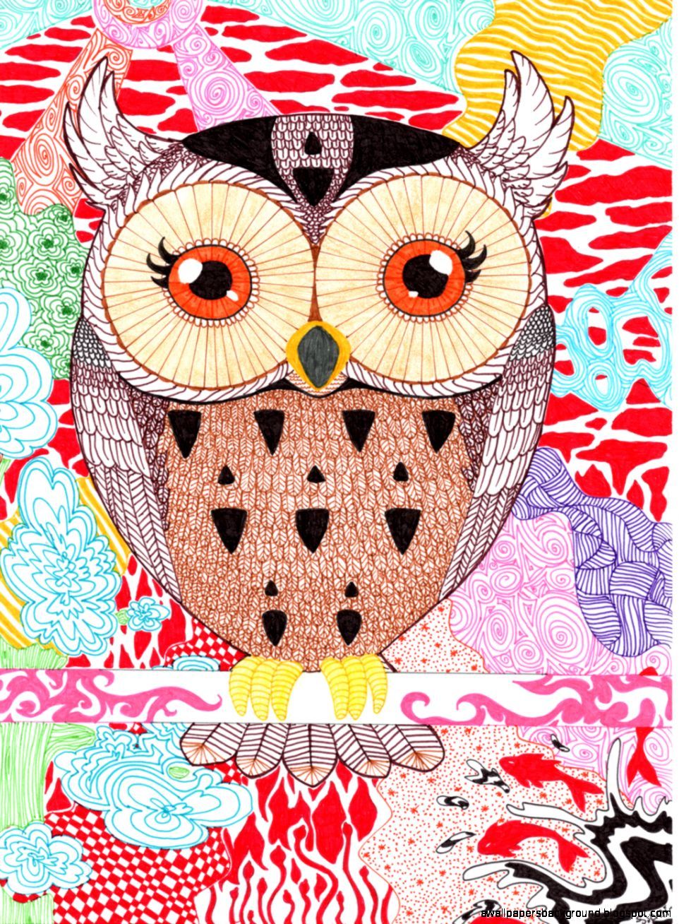 28 Collection Of Cartoon Owl Drawing Tumblr Background Tumblr