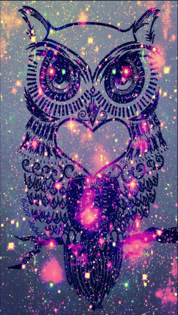 Animallogo Animal Logo Wallpaper Dark Owl 2041110 Hd