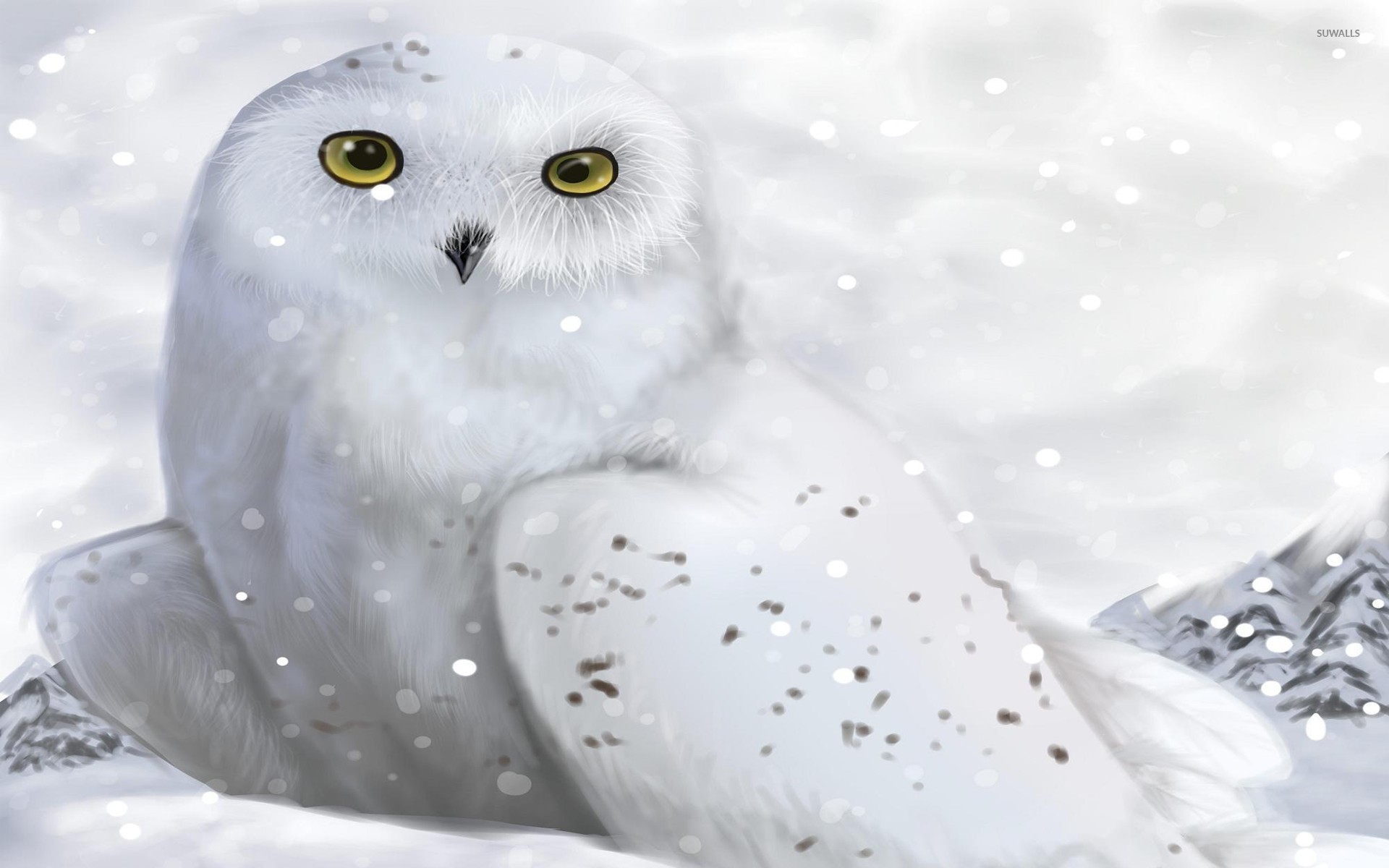 White Owl Backgrounds , HD Wallpaper & Backgrounds