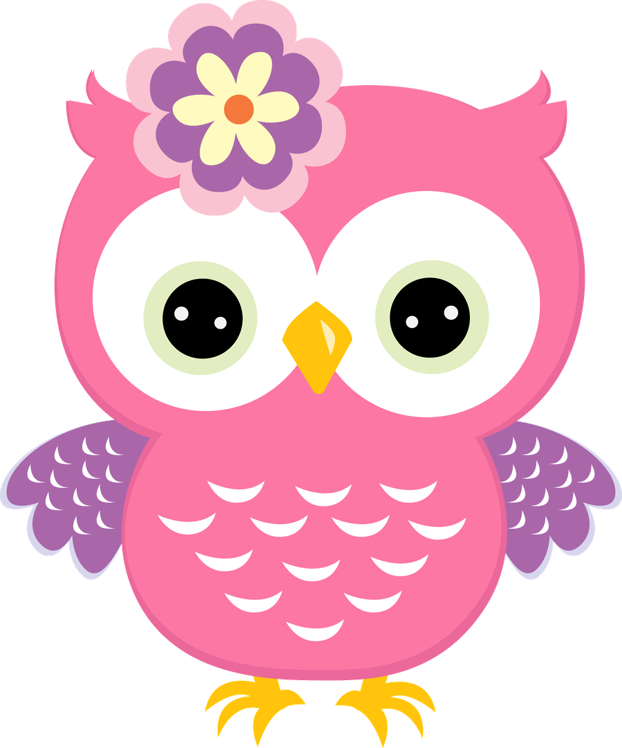February Clipart Pink Baby Owl - Buho Para Baby Shower , HD Wallpaper & Backgrounds