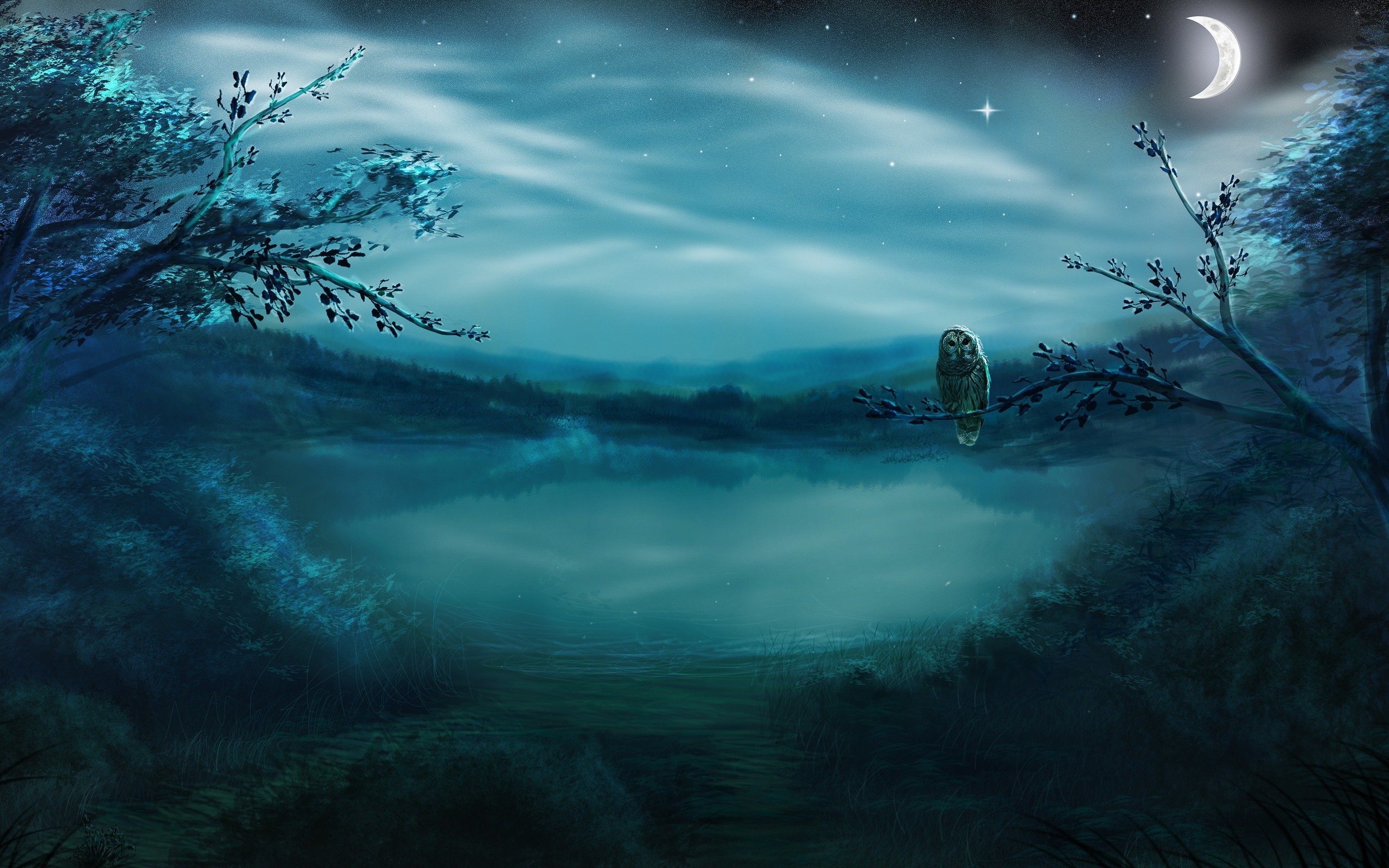 Night Owl Hd Wallpaper - Owl Night Moon , HD Wallpaper & Backgrounds