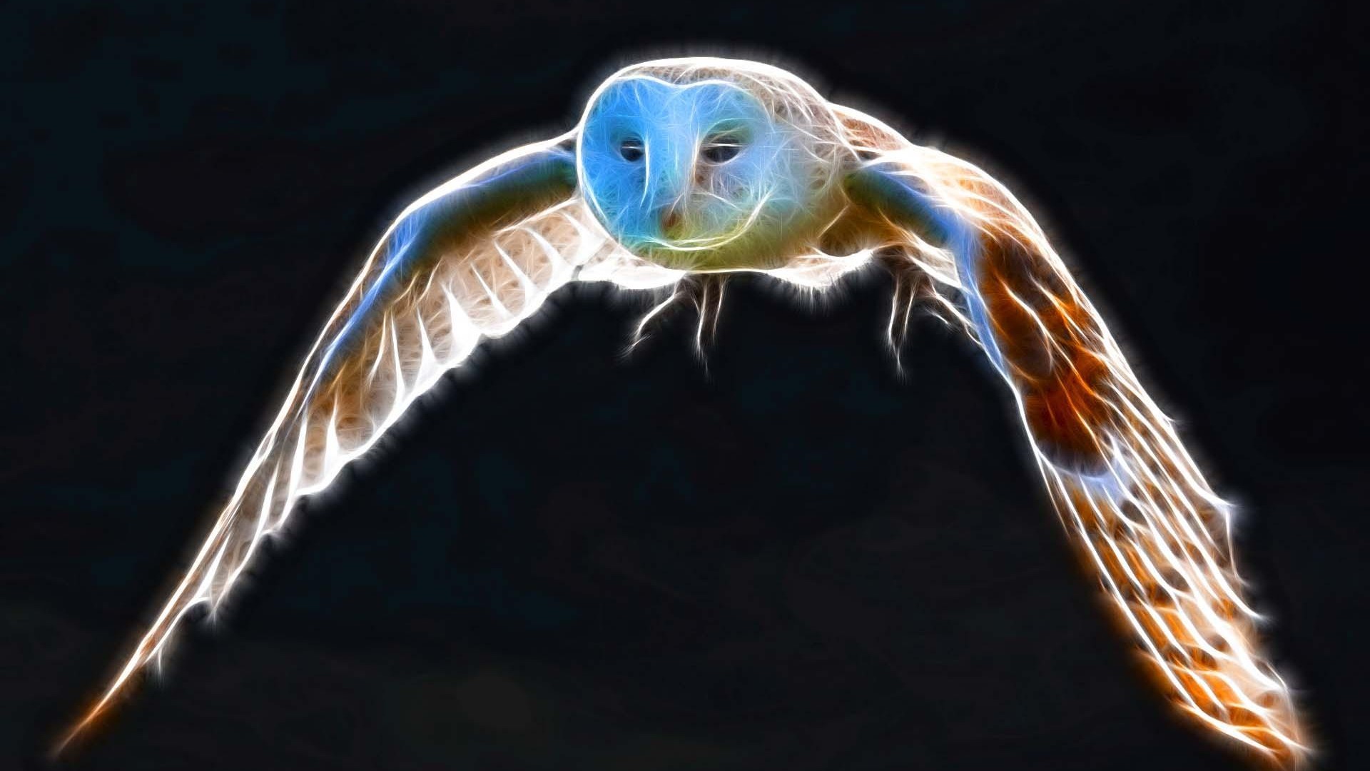 Flight Of Snowy Owl - Snowy Owl , HD Wallpaper & Backgrounds