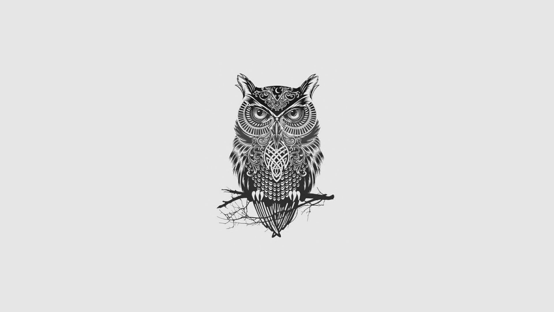 Black And White Owl Painting Hd Wallpaper - Great Horned Owl , HD Wallpaper & Backgrounds