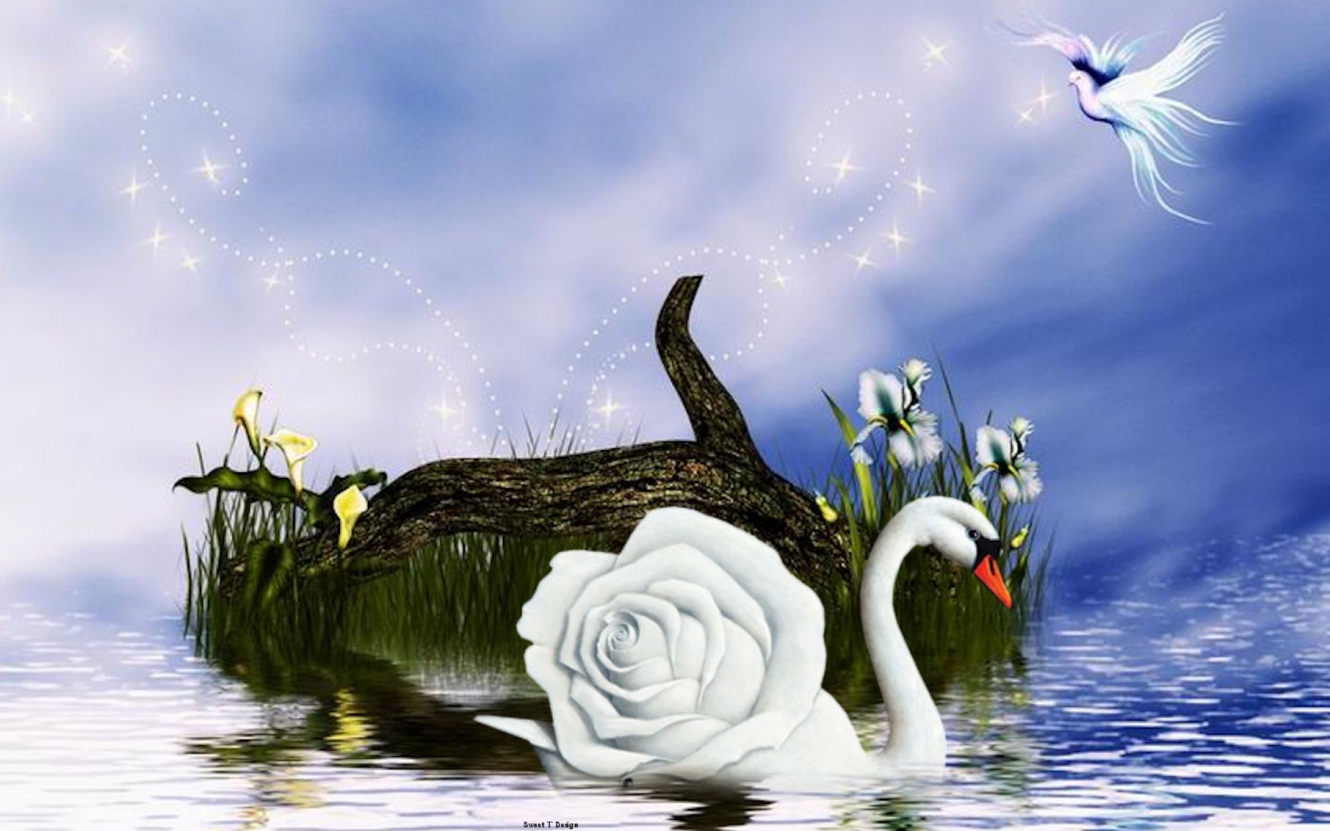 Hd Wallpaper Of Swan , HD Wallpaper & Backgrounds