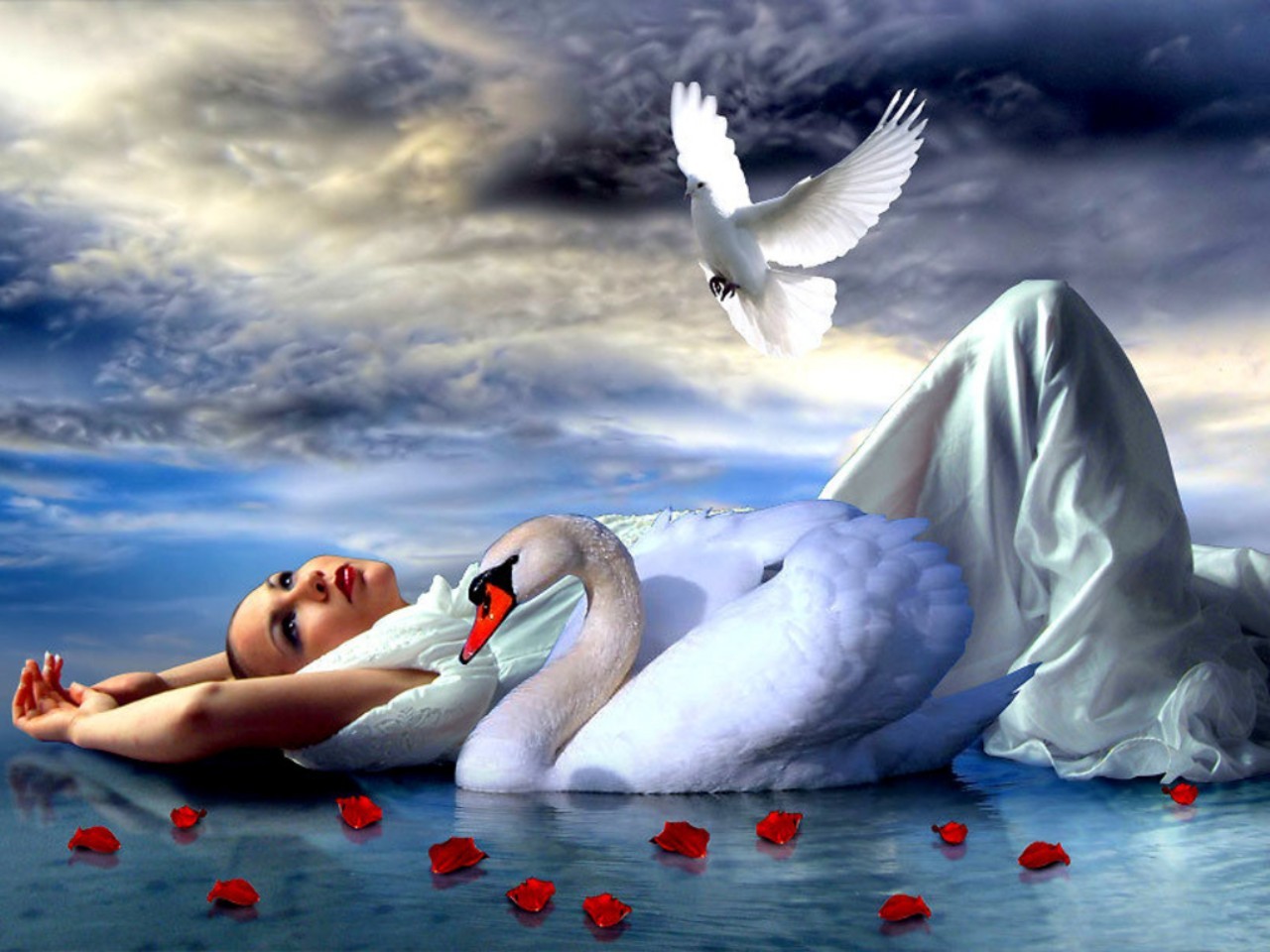 Fantasy Swan - Photoshop Manipulation , HD Wallpaper & Backgrounds
