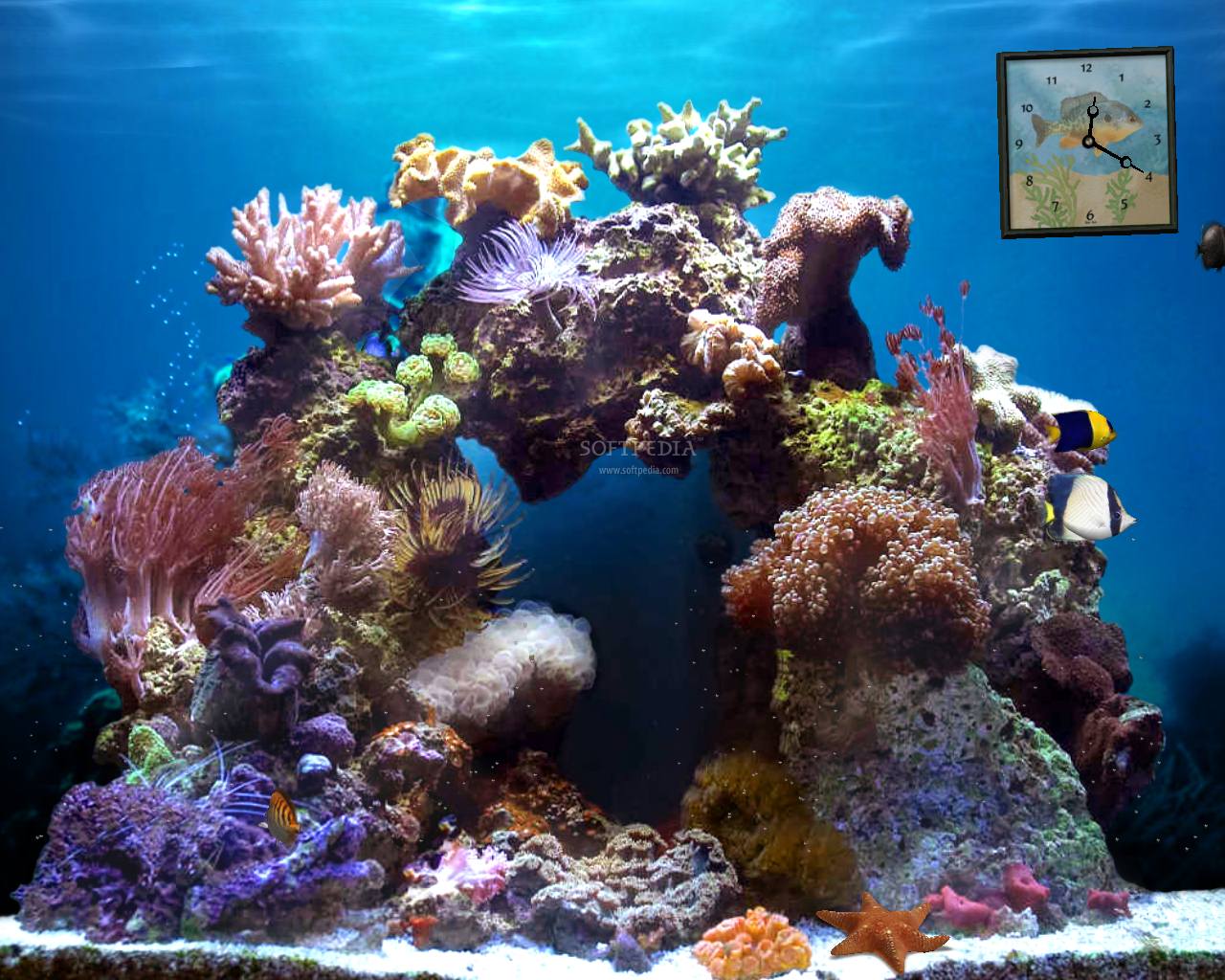 Hd Fish Tank Screensaver Mac Download Free - Aquarium 3d Wallpaper Animated , HD Wallpaper & Backgrounds