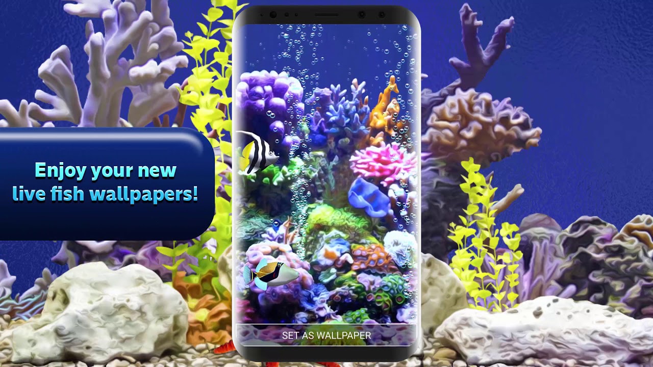 3d Aquarium Live Wallpaper Official Video - Coral Reef , HD Wallpaper & Backgrounds