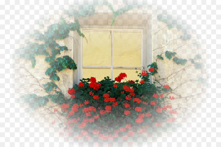 Window, Paper, Desktop Wallpaper, Flower, Computer - Garden Roses , HD Wallpaper & Backgrounds