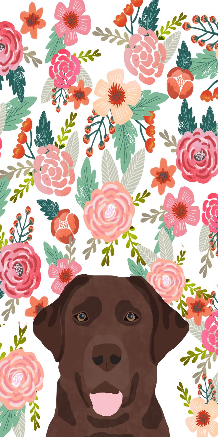 Dogs Floral Crown Background Cats 2045280 Hd Wallpaper