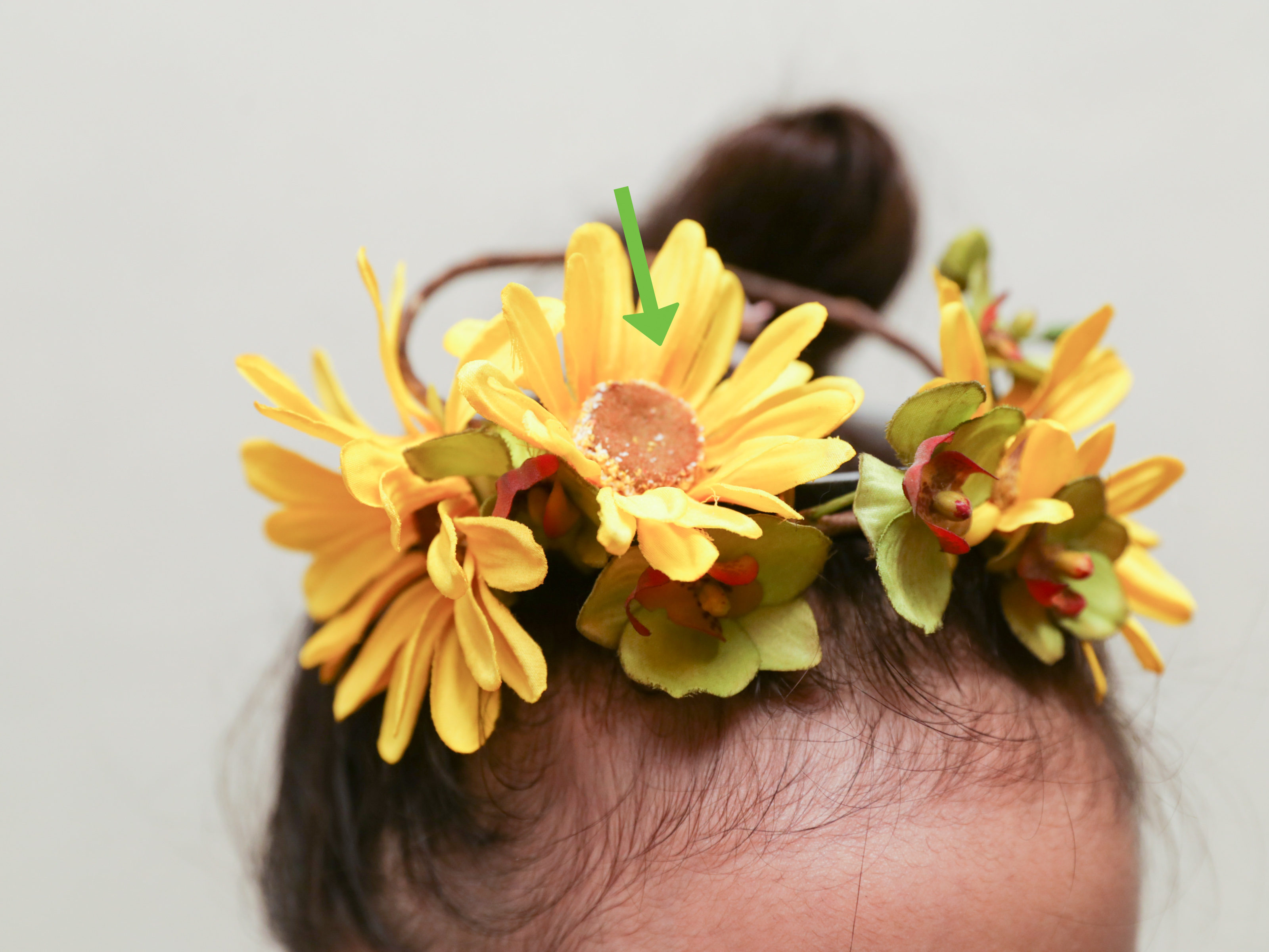 Draw A Sunflower Crown , HD Wallpaper & Backgrounds