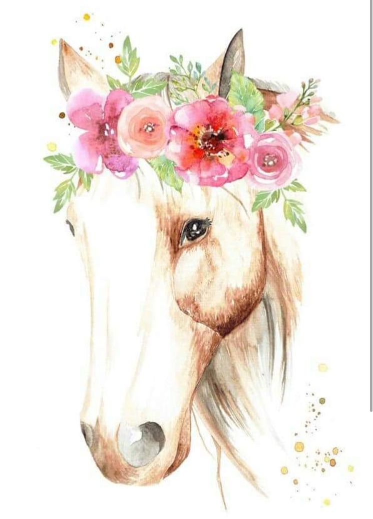 Beautiful Horses, Flower Crown, Floral, Animals, Nice - Horse With Flower Crown , HD Wallpaper & Backgrounds