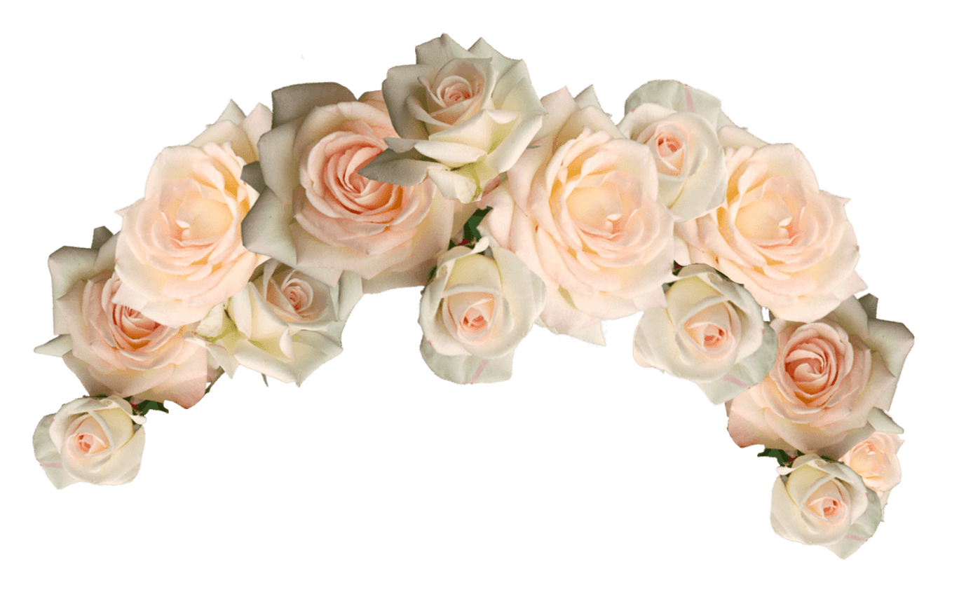 Flower Crown Png Transparent - Png Flower Crown White , HD Wallpaper & Backgrounds