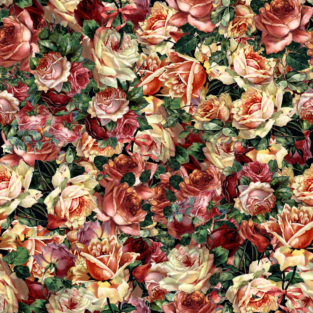 Vintage Rose Bouquet - Garden Roses , HD Wallpaper & Backgrounds