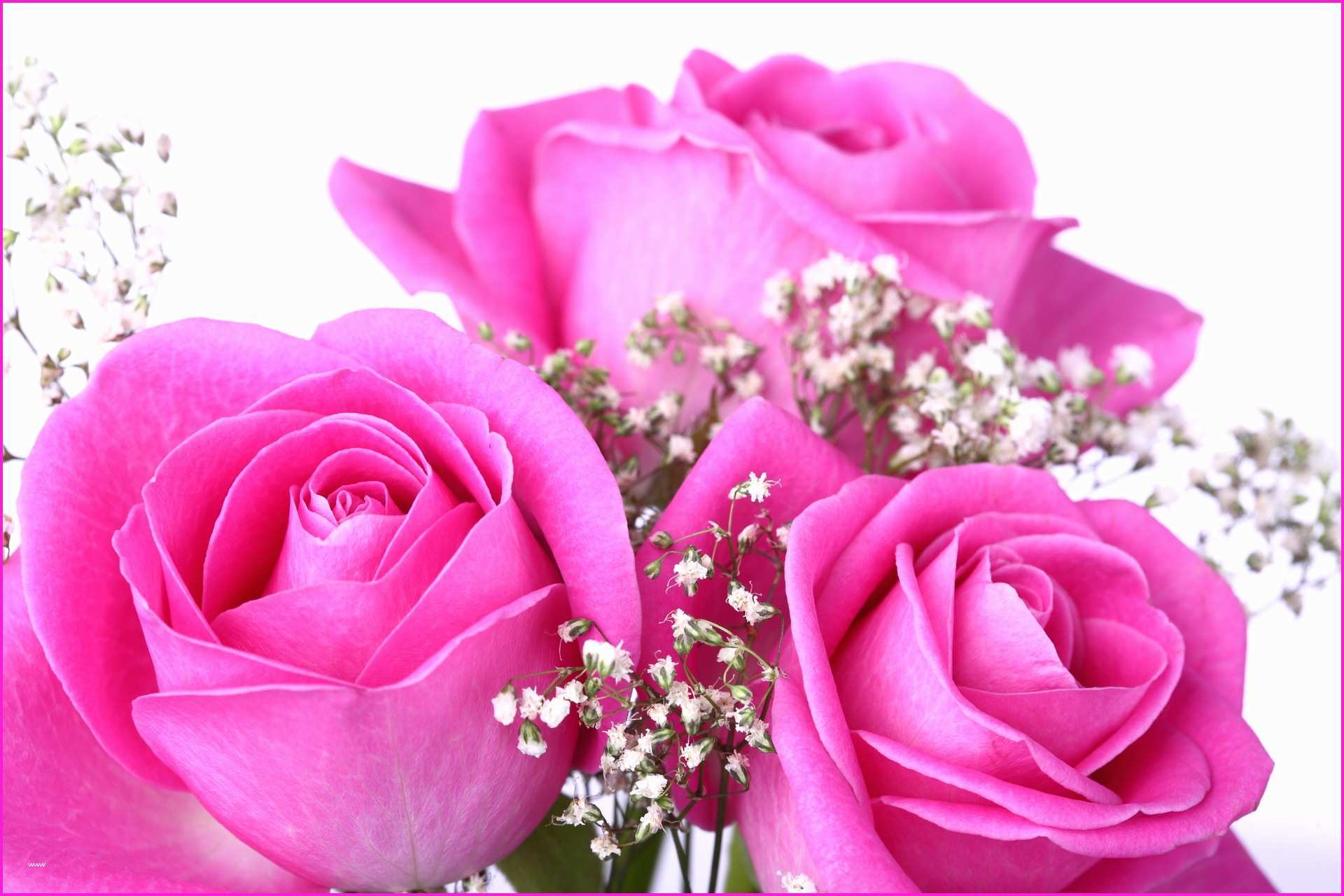 Pink Rose Bouquet Wallpaper Wonderfully Pink Rose Free - Beautiful Pink Rose Flowers , HD Wallpaper & Backgrounds