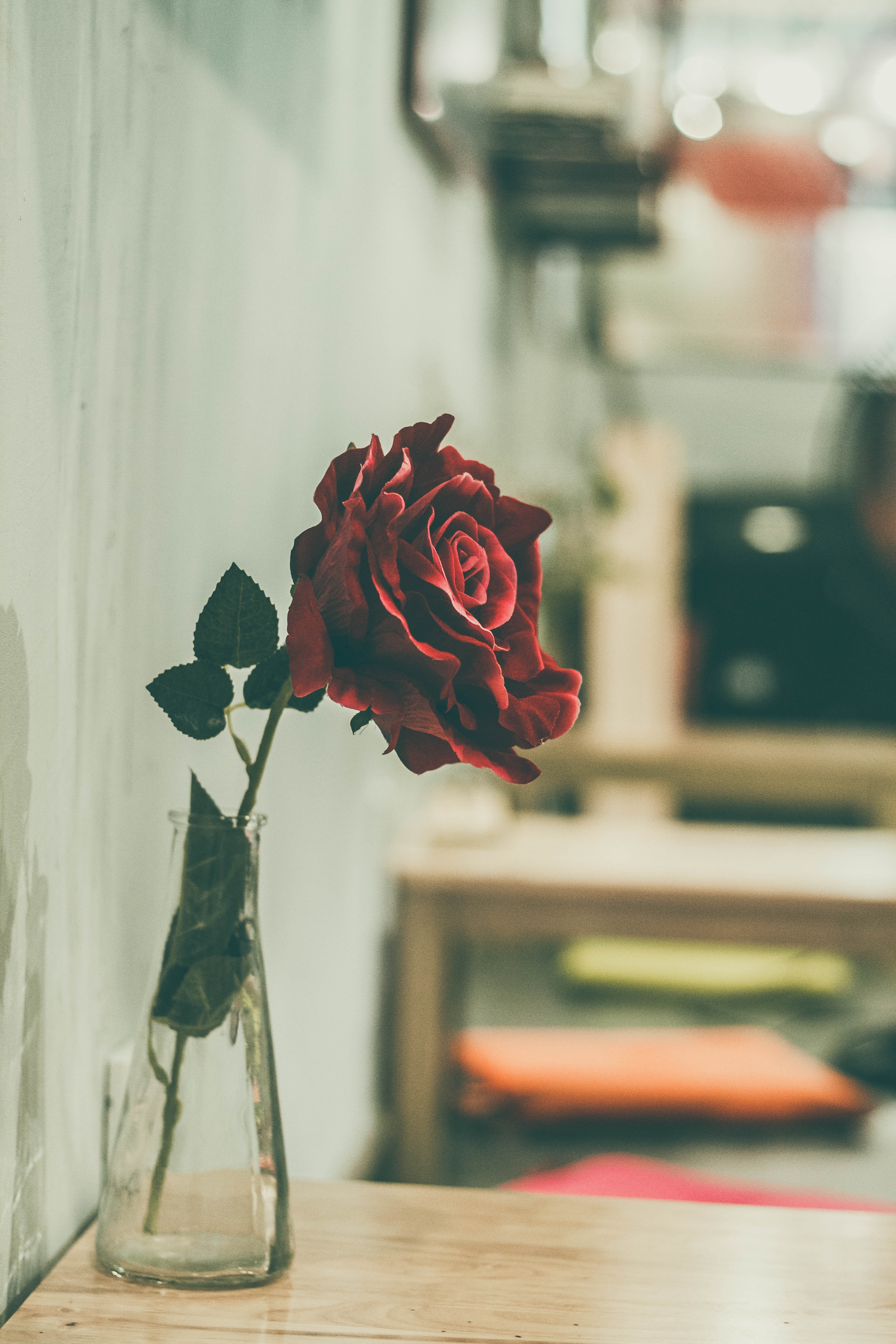 Download Original Image Online Crop - Single Red Rose In A Vase , HD Wallpaper & Backgrounds