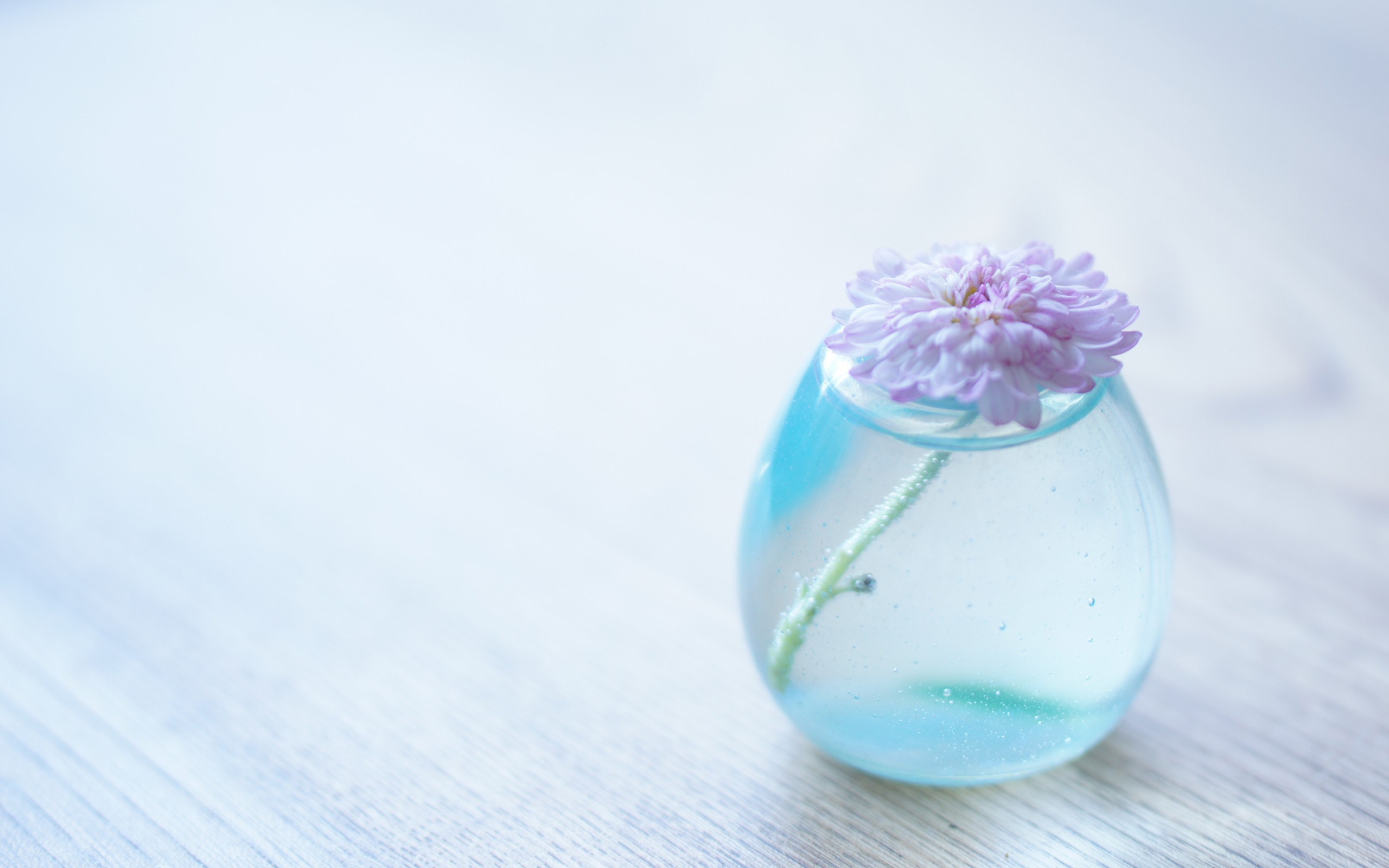 Wallpaper Flower, Bank, Glass, Vase - Flowers In Glass Vase , HD Wallpaper & Backgrounds