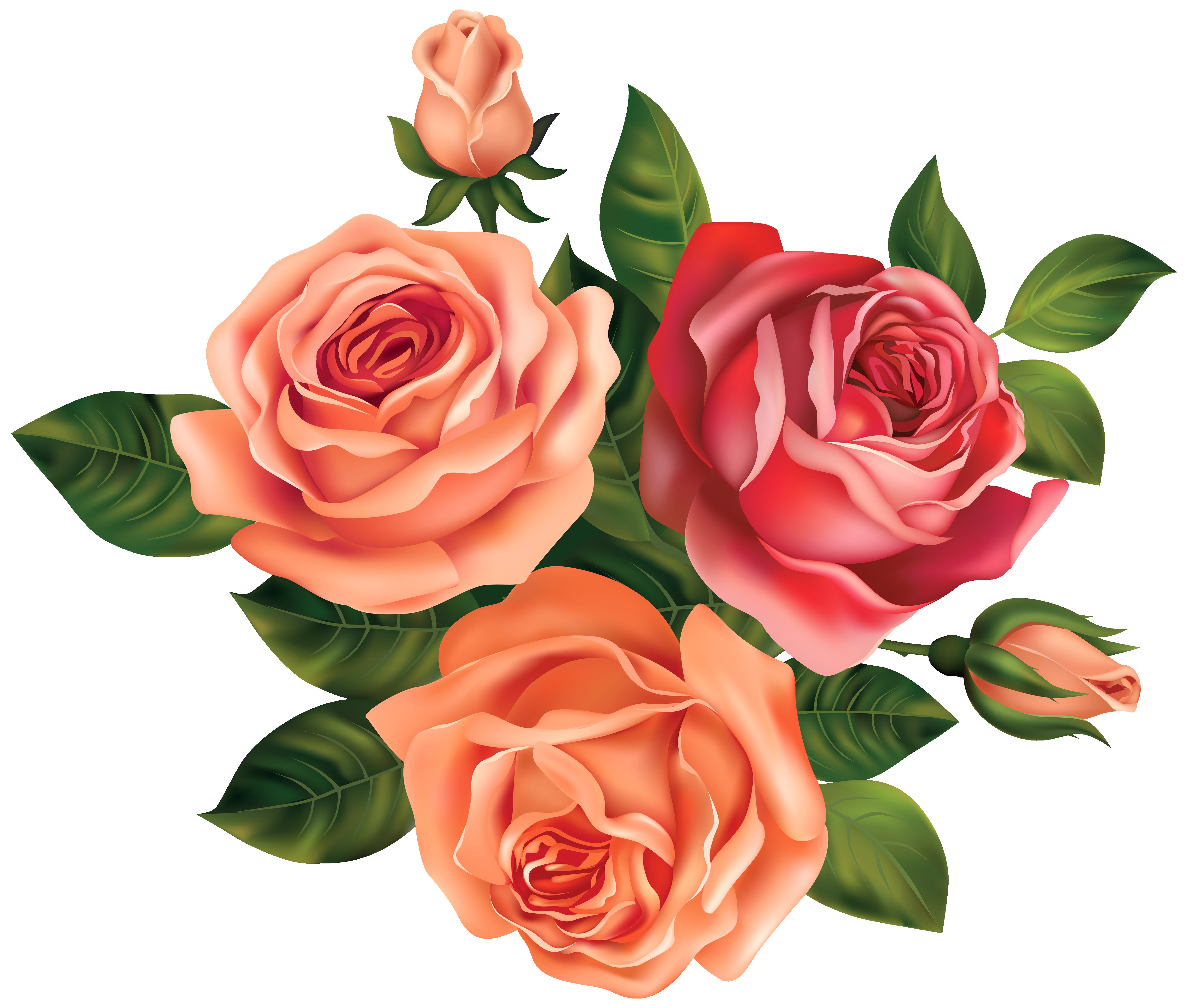 Pink Rose Clipart Pretty Rose - Rose Flowers Clip Art , HD Wallpaper & Backgrounds