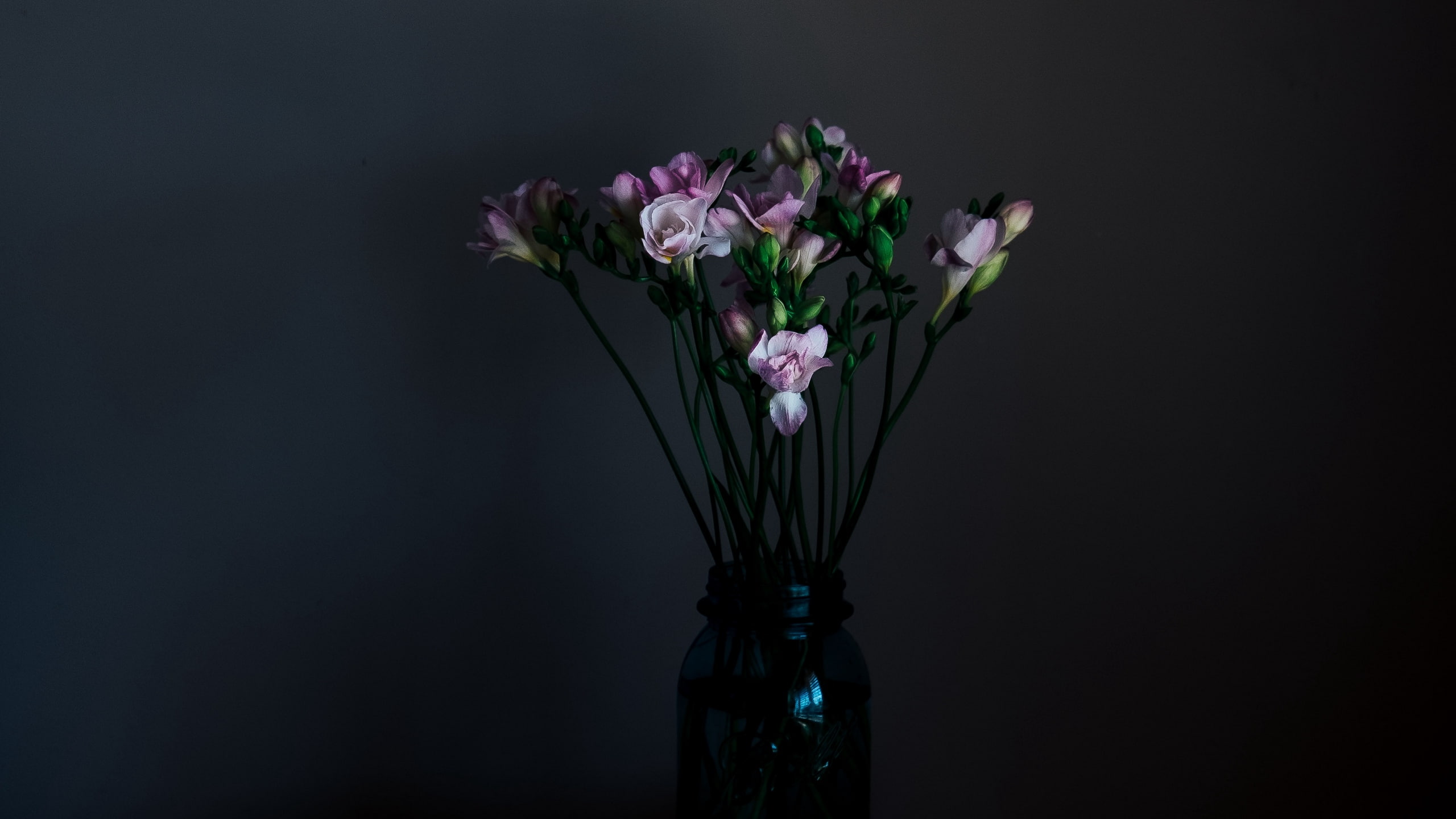 Flowers, Vase, Bouquet, Dark , HD Wallpaper & Backgrounds