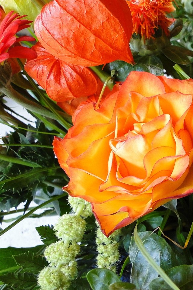Rose, Flowers, Strauss, Bloom, Orange - Rose , HD Wallpaper & Backgrounds