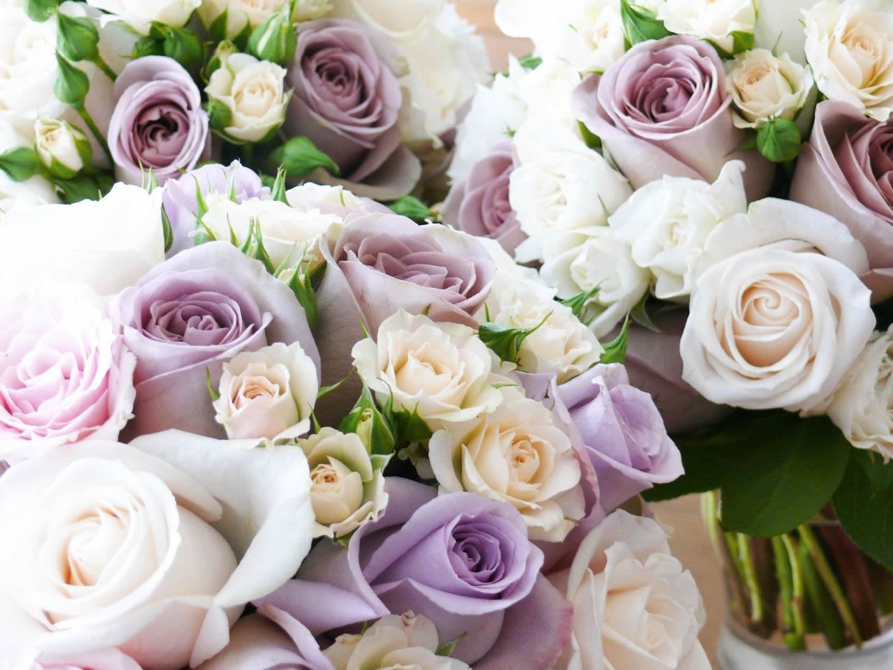 Pretty Rose Loving Purple Flowers Flower Cute Beautiful - Cute Beautiful Roses , HD Wallpaper & Backgrounds