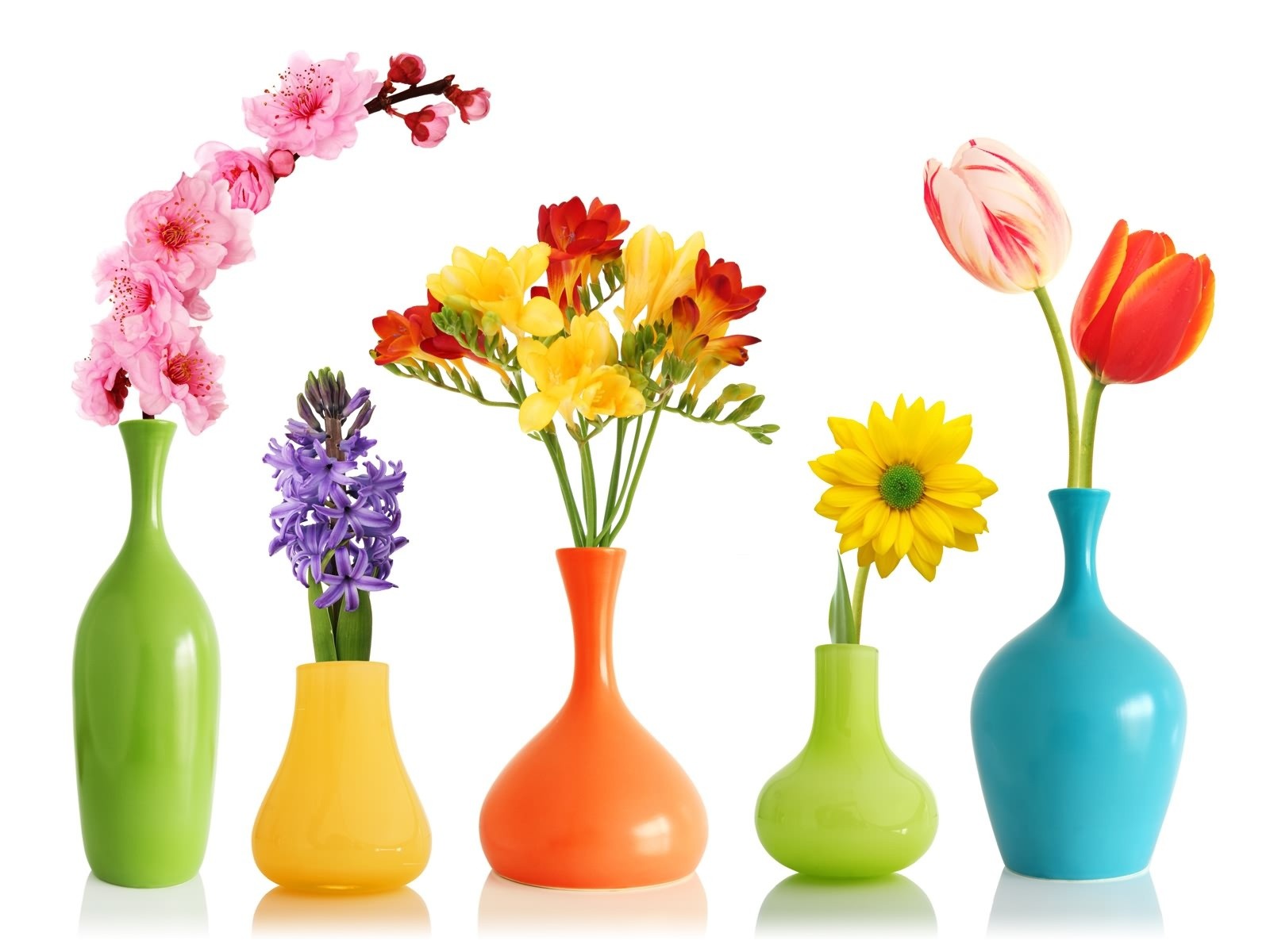 Flower Vases , HD Wallpaper & Backgrounds