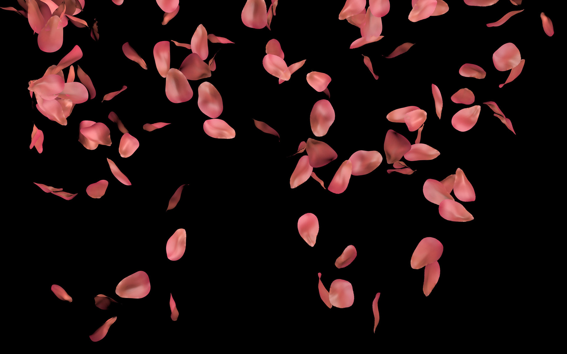 Rose Petals - Rose Petals Steam Background , HD Wallpaper & Backgrounds