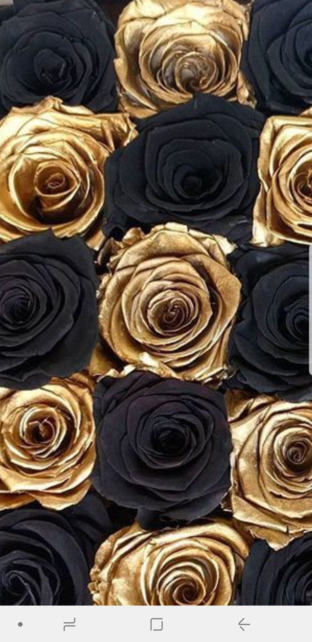 Black Pink Background, Black Background Wallpaper, - Black And Gold Roses , HD Wallpaper & Backgrounds