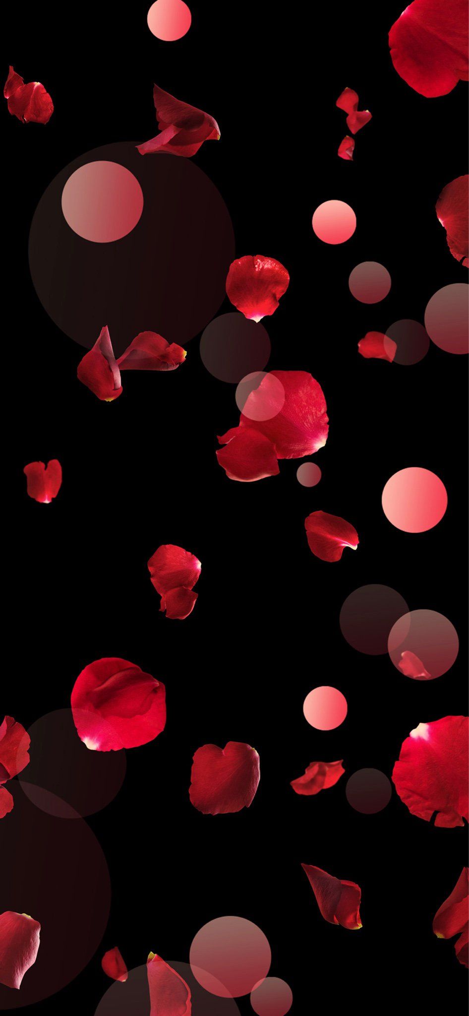 Rose Petals Cute Wallpapers, Wallpaper Backgrounds, - Rose Petals Wallpaper Iphone , HD Wallpaper & Backgrounds