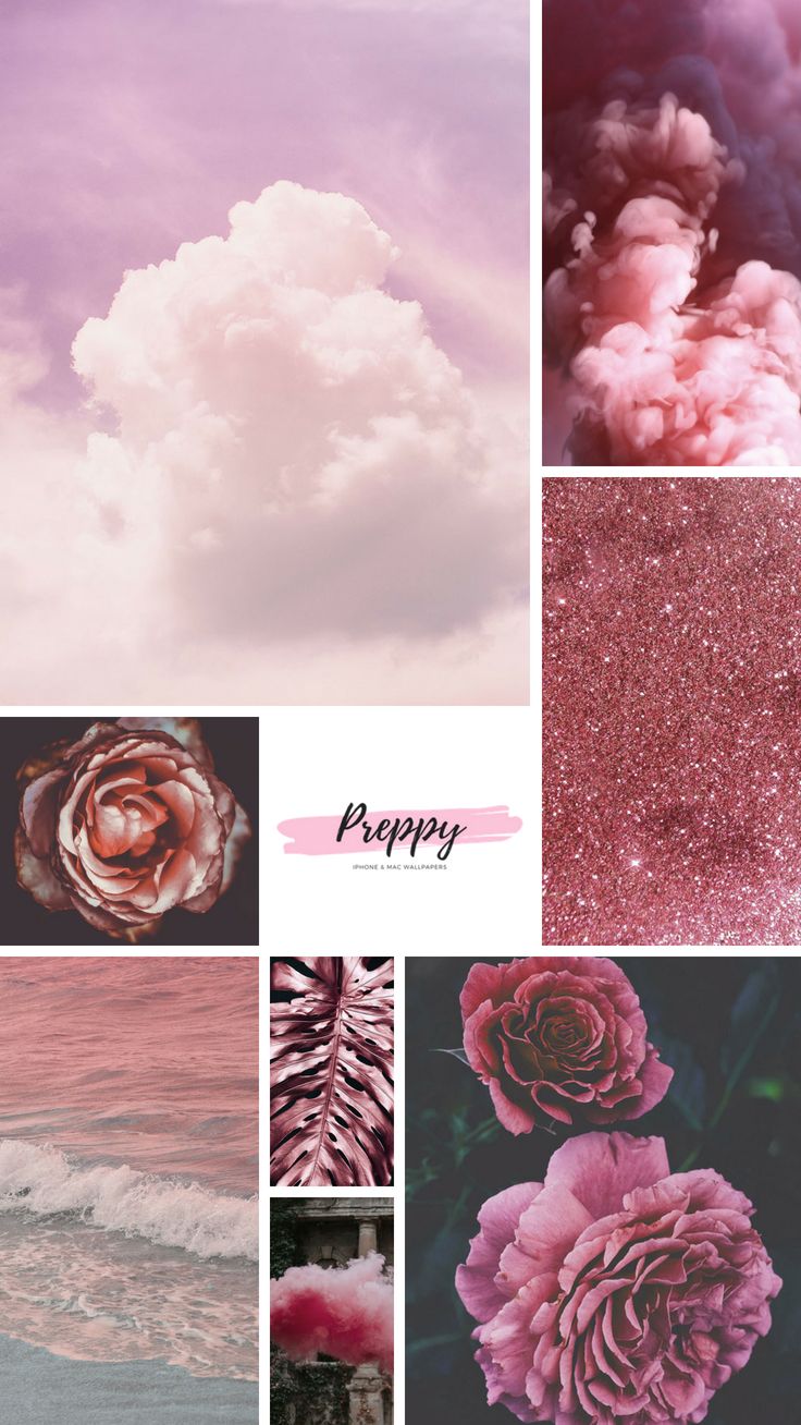 Preppy - Garden Roses , HD Wallpaper & Backgrounds