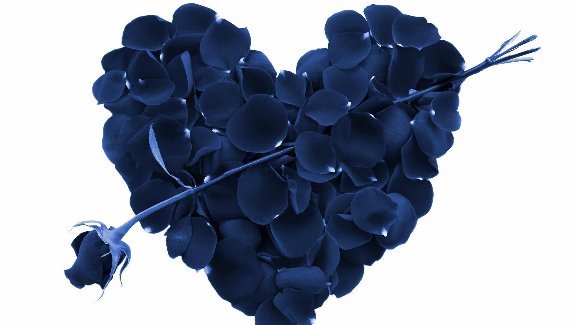 Blue Rose And A Heart Made Of Rose Petals Wallpapers - Love Valentines Day , HD Wallpaper & Backgrounds