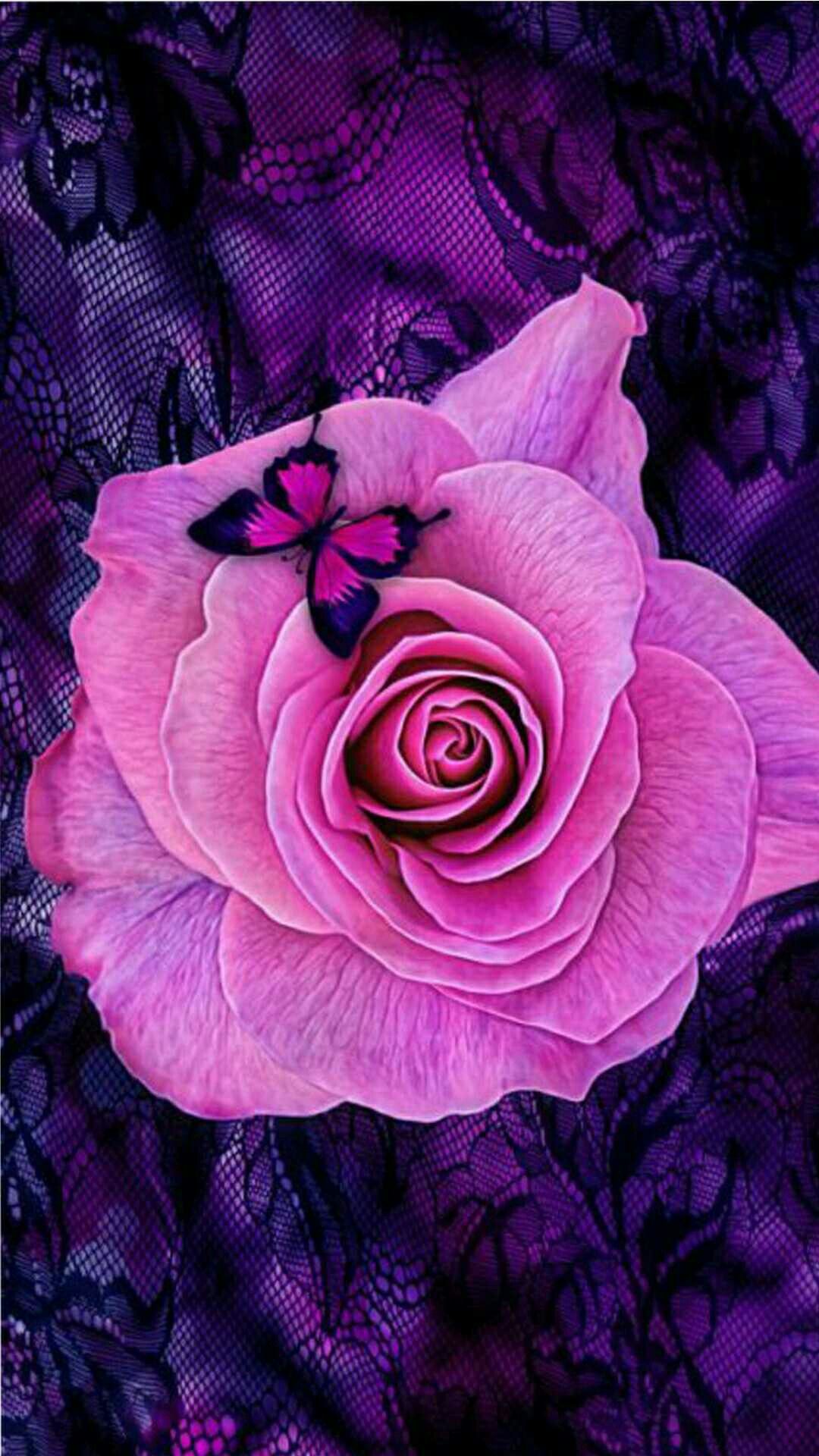 Pink Roses Butterfly Wallpaper - Purple Butterfly With Rose , HD Wallpaper & Backgrounds