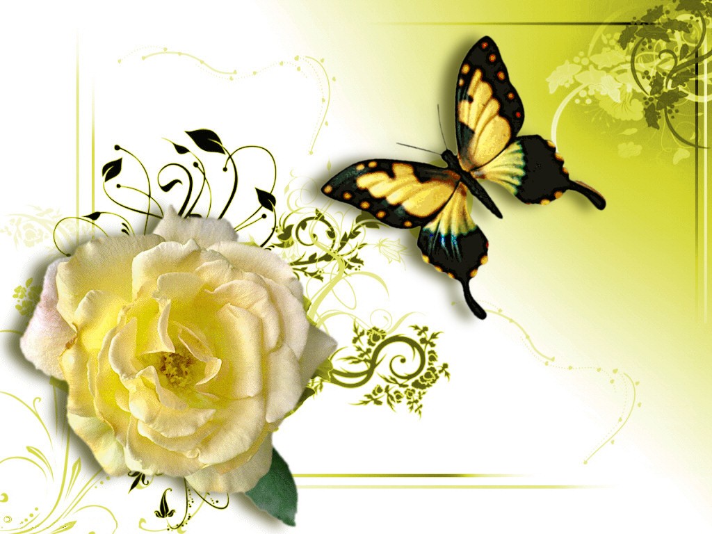 Floral Yellow Flower Rose Butterfly Artwork Beauty - Yellow Rose Flowers Butterfly , HD Wallpaper & Backgrounds