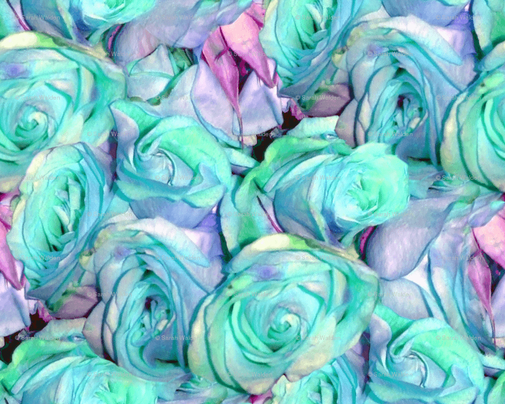 Mint Green Roses , HD Wallpaper & Backgrounds