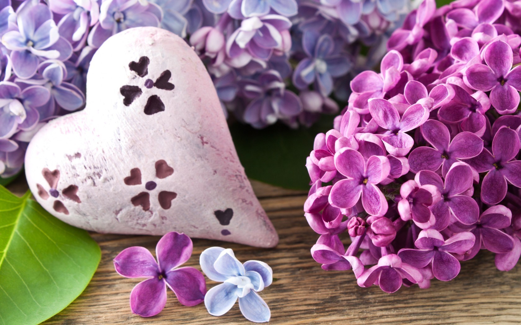 Lilac Flowers Heart , HD Wallpaper & Backgrounds