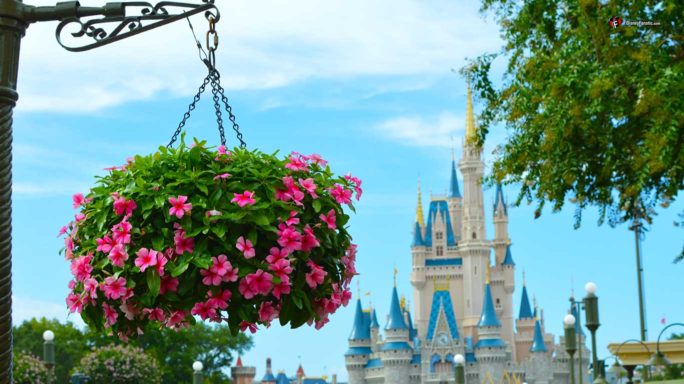 1366×768 - Disney World Wallpaper For Mac , HD Wallpaper & Backgrounds