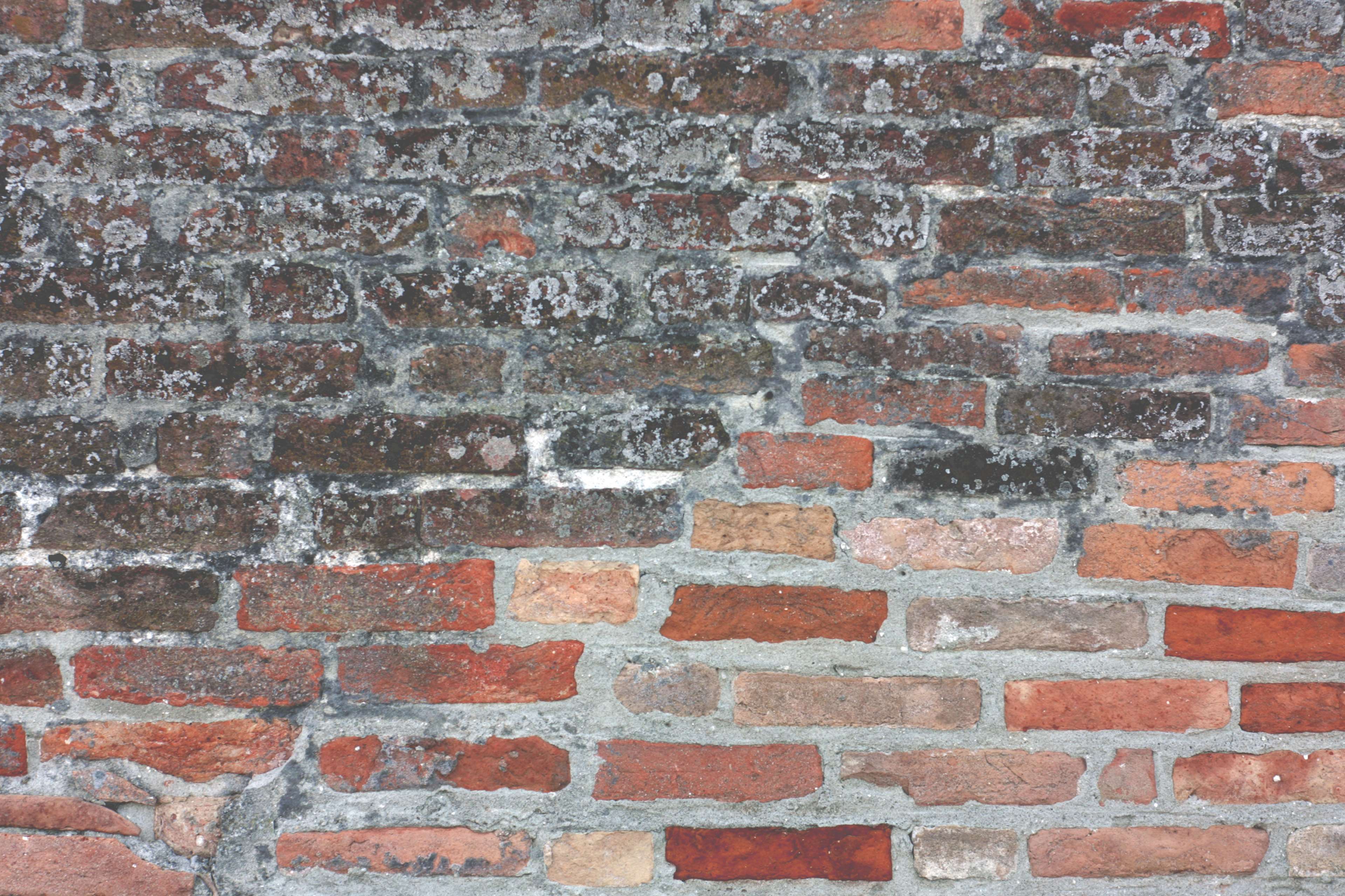Brick, Brick Wall, Bricks, Old Castle, Red Bricks, - Wall , HD Wallpaper & Backgrounds