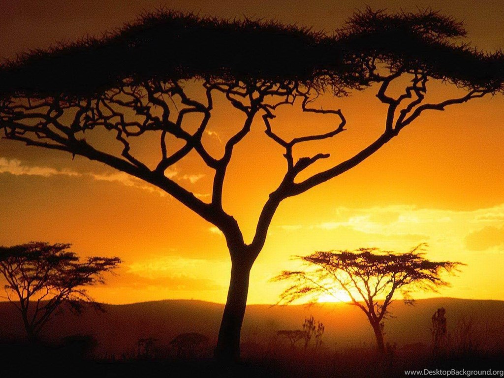 Top African Art Desktop Background Images For Pinterest - Africa Wallpaper Sunset , HD Wallpaper & Backgrounds