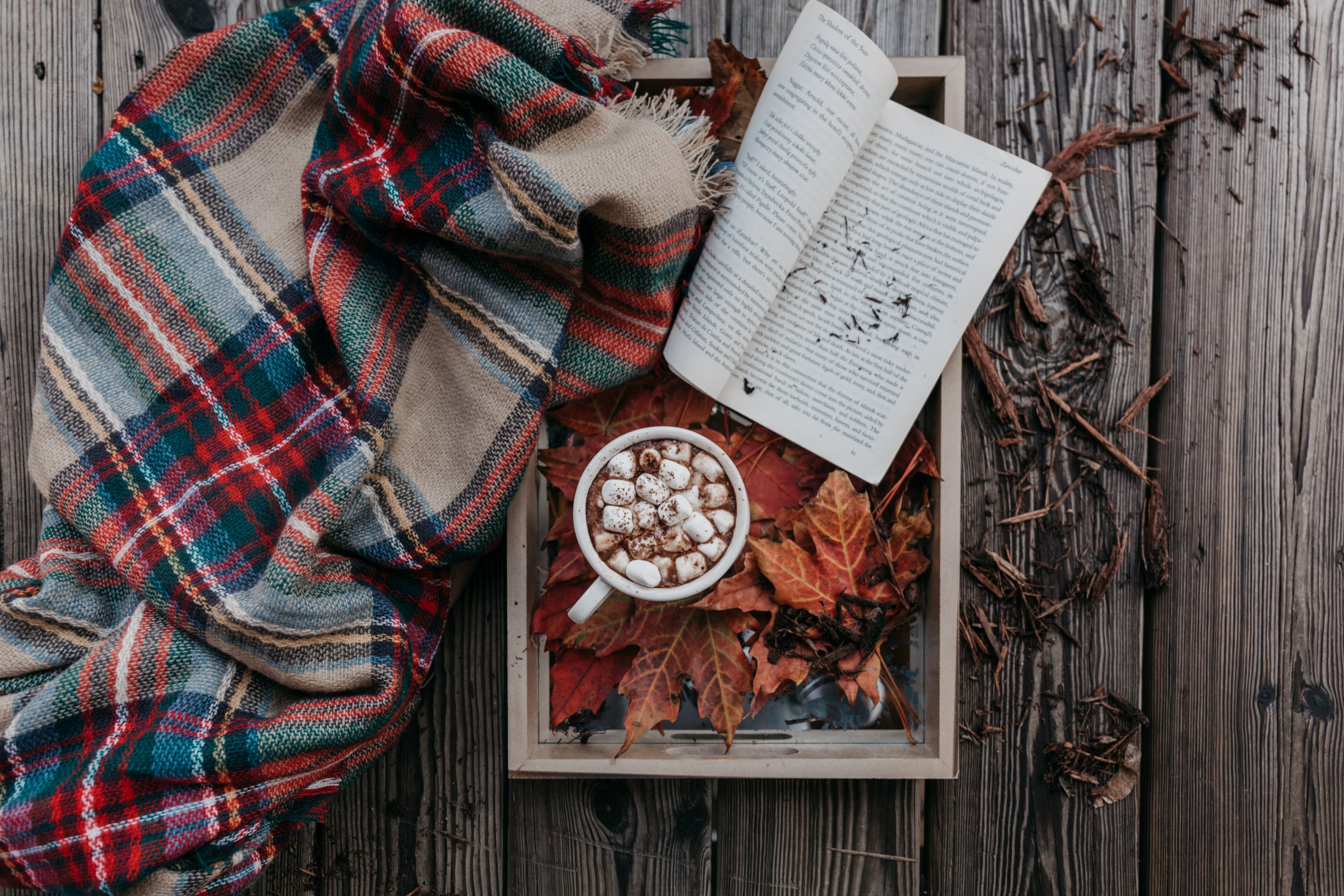 #3840x2560 Flatlay Marshmallow Hot Chocolate And Book - Cozy Winter Desktop Backgrounds , HD Wallpaper & Backgrounds