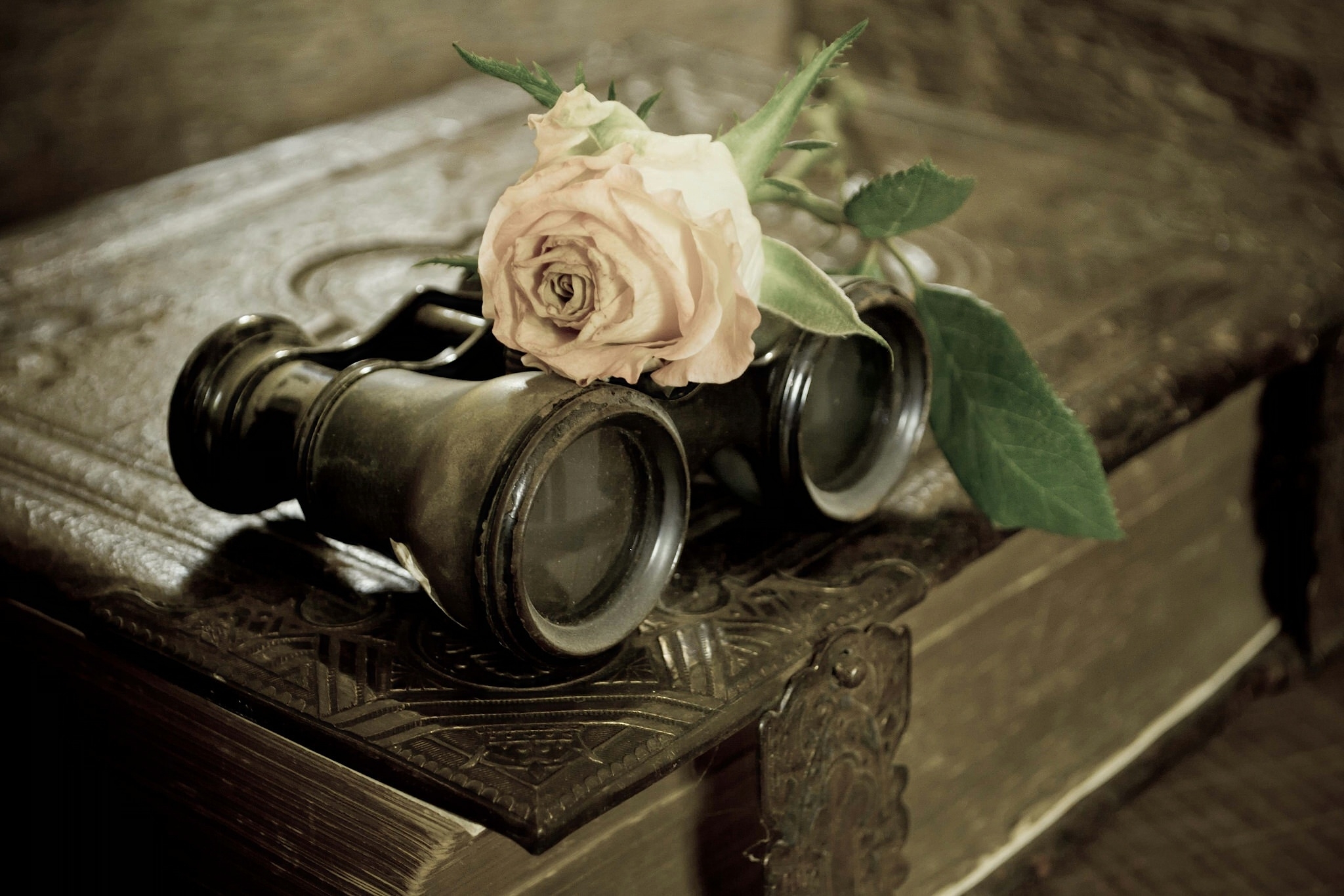 Wallpaper Binoculars - Vintage Rose With Book , HD Wallpaper & Backgrounds