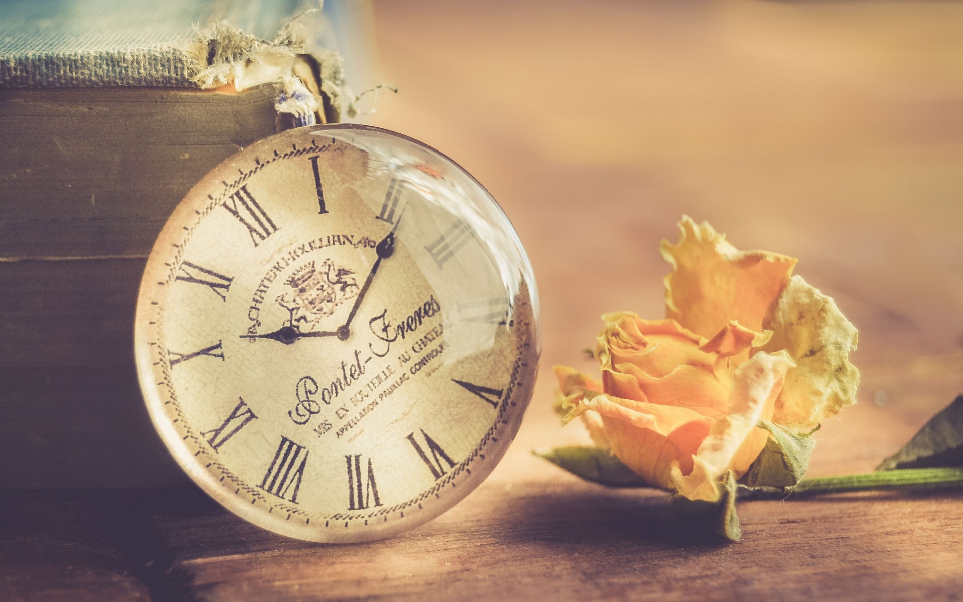 Old Clock, Withered Yellow Rose, Time Concepts, Retro - Imagens De Rosas Amarelas E Livros , HD Wallpaper & Backgrounds